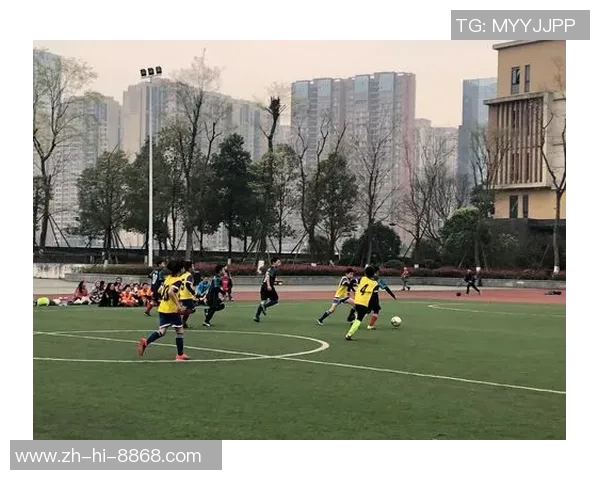 足球的足迹与荣耀：一部关于绿茵场上奋斗与梦想的纪实书